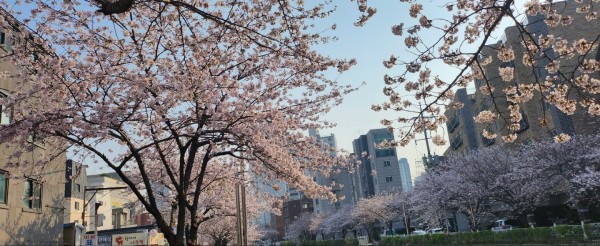 ad6c9519e1520d7285744b15d544b6ad_1744337